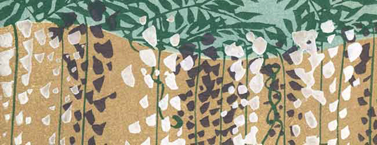 ギャラリーについて