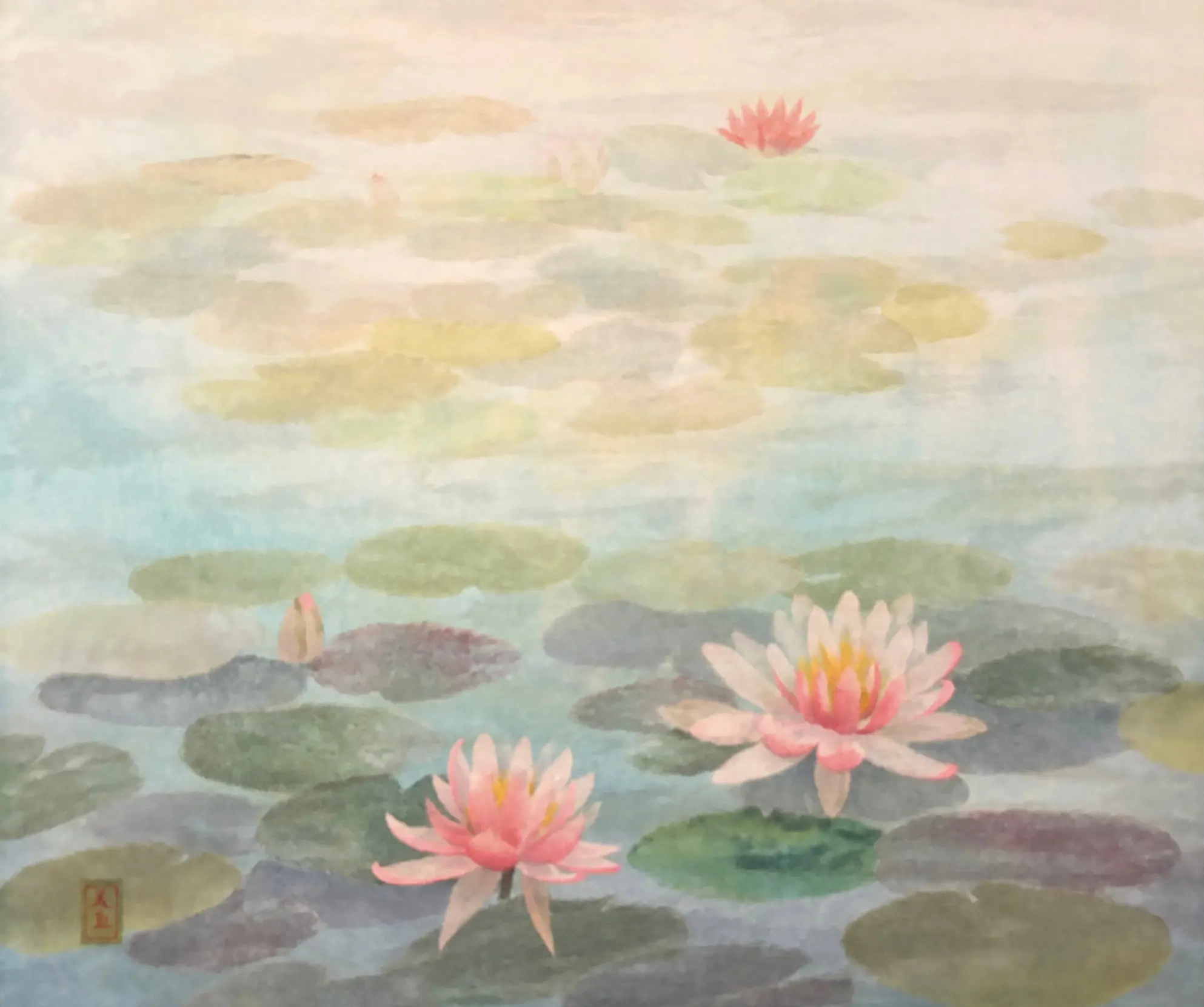 A Water Lily - Dreaming Heart